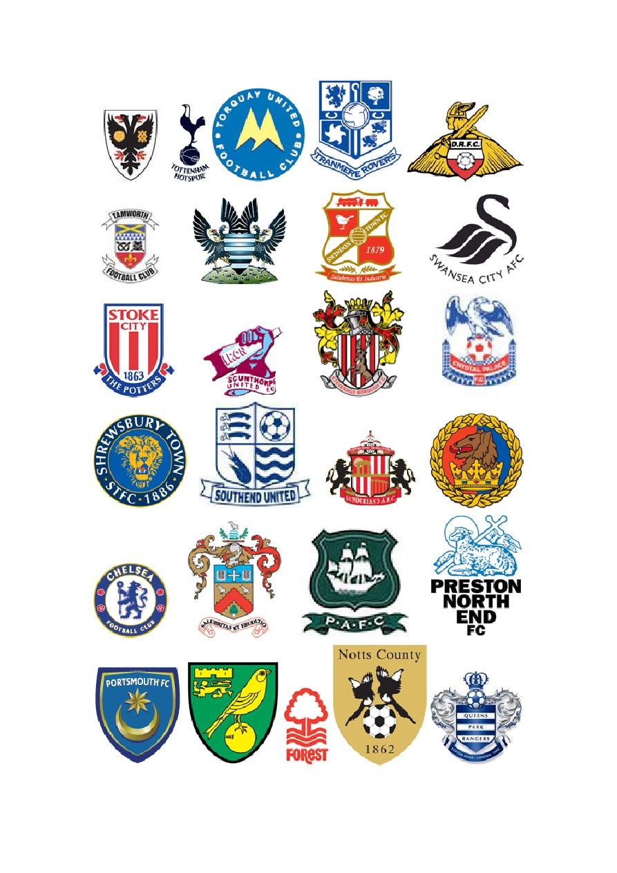 们将以全新 们将以全新